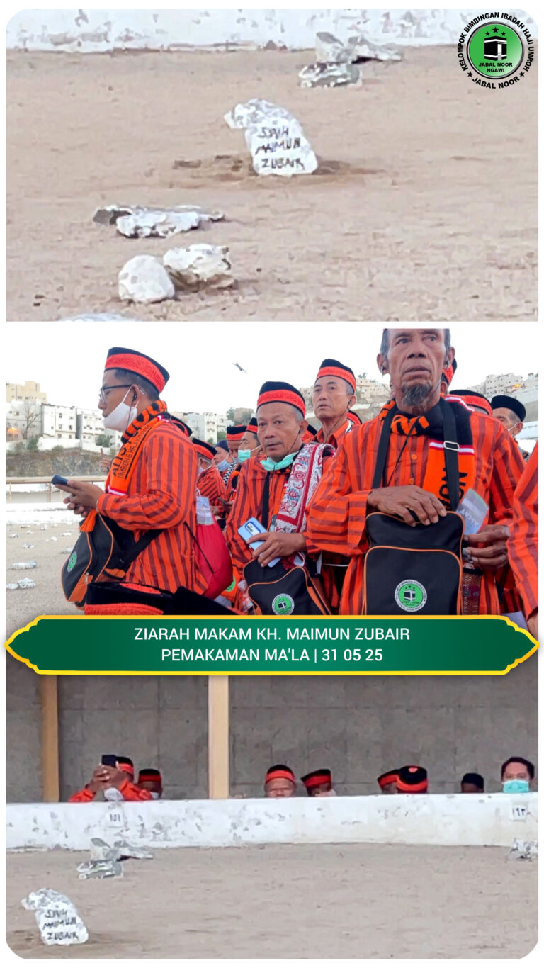 InShot_20250602_083822630