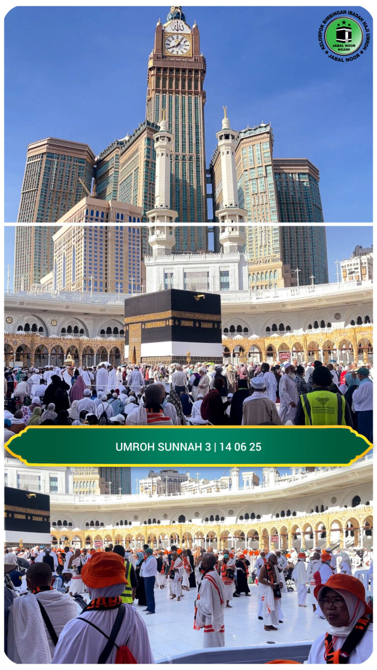 InShot_20250616_150521765