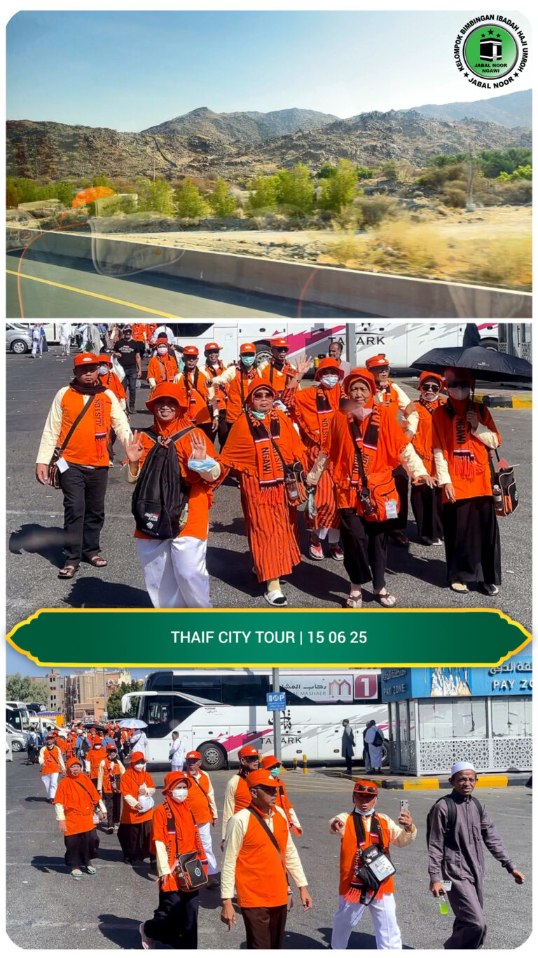 InShot_20250617_172736263