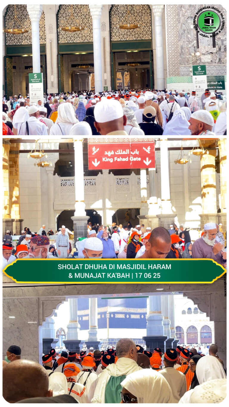 InShot_20250619_162917685